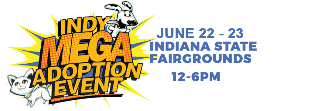 Indy Mega Adoption Event