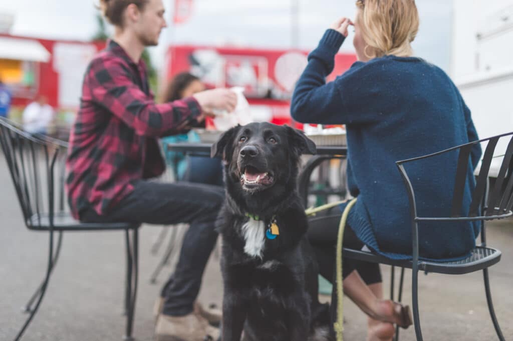 Lucky Dog 5K - Indianapolis